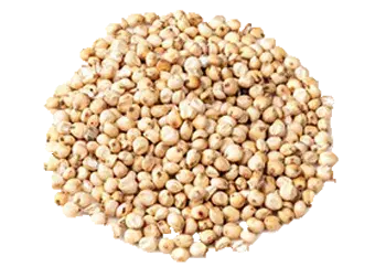 White Guinea Corn (Okababa)
