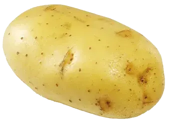 Potato - Sweet