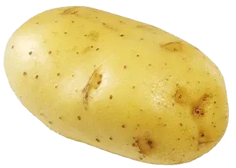 Potato - Sweet