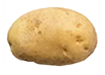 Potato - Irish