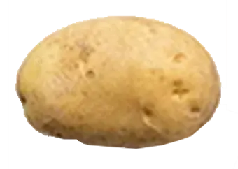 Potato - Irish