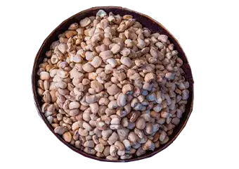 Beans - Pelebe