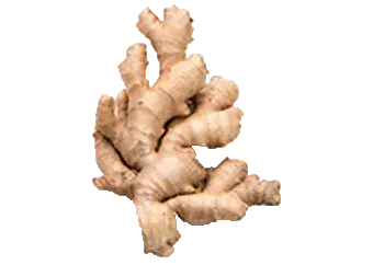 Ginger