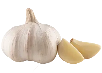 Chinese Garlic