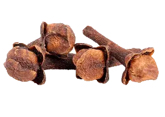 Cloves