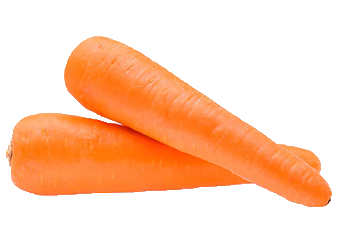 Carrot