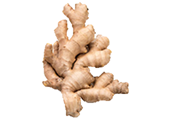 Ginger