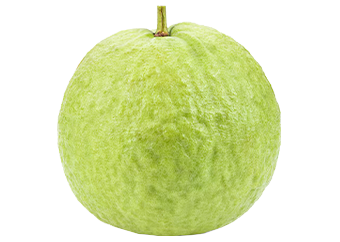 Guava (White)