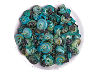 Periwinkle