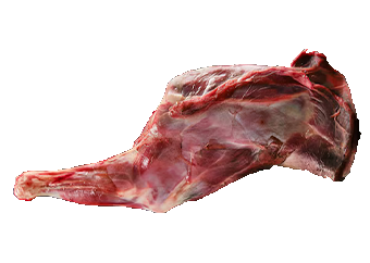 Ram Leg