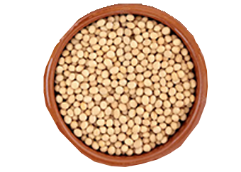 Soya Beans