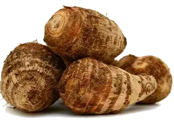 Cocoyam