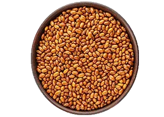 Beans (Drum)