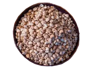 Beans - Pelebe