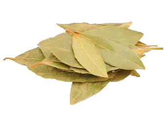Bay Leaf