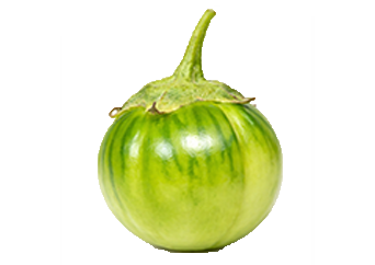 Garden Egg (Green)