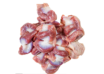 Chicken Gizzard